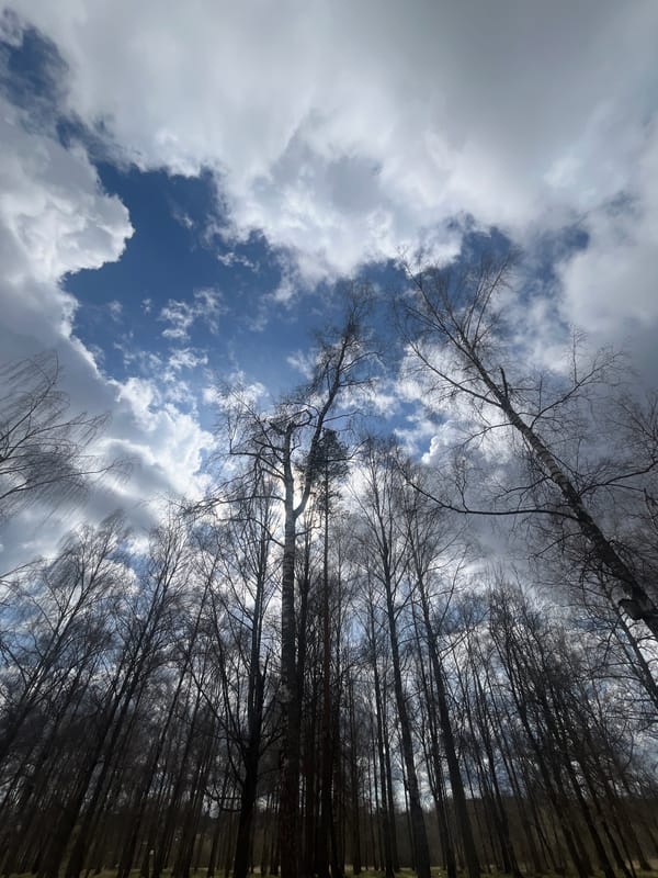 Couple documents casual park visit in Vysokovsk, Russia