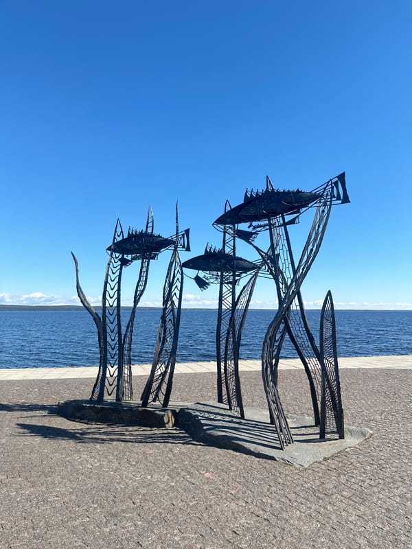Morning park visit captures sculptures, fountain, and nature details