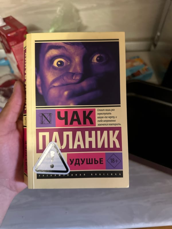 Quiet afternoon at home in Saransk: books, cats, and everyday objects