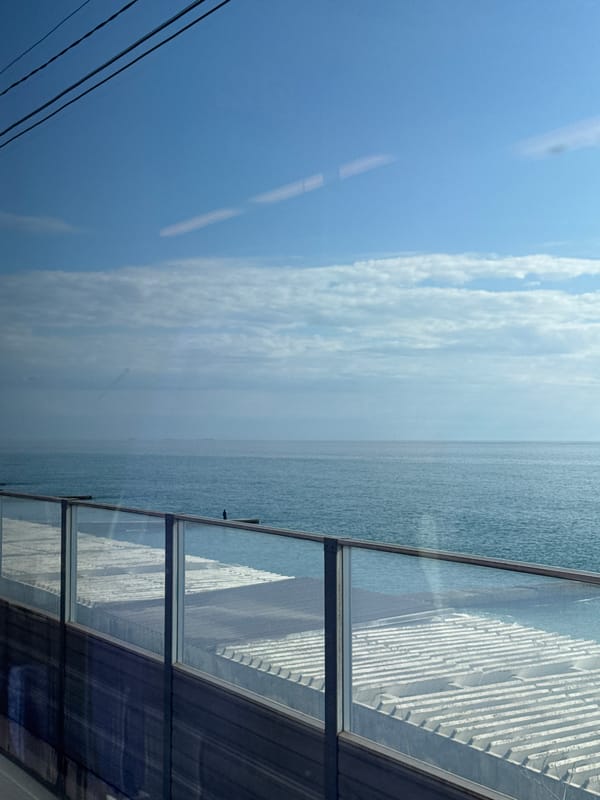 Black Sea views captured from elevated position in Sochi