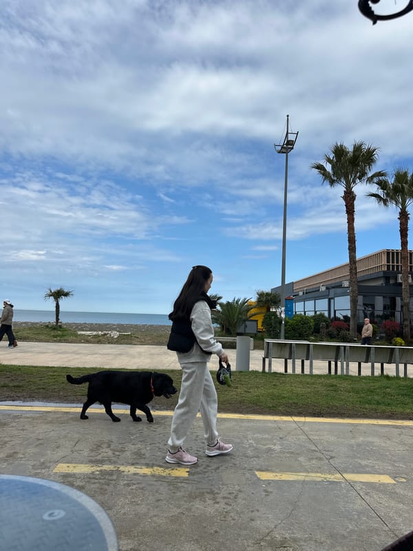 Morning scenes from Batumi's pebble beach and modern cafes