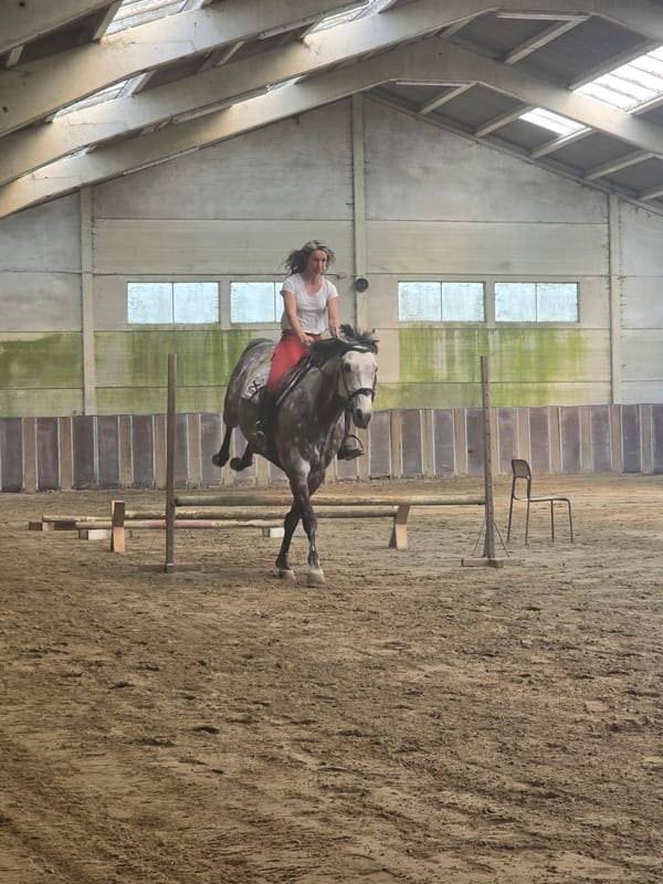 Woman rides horse at indoor equestrian facility in Belgium