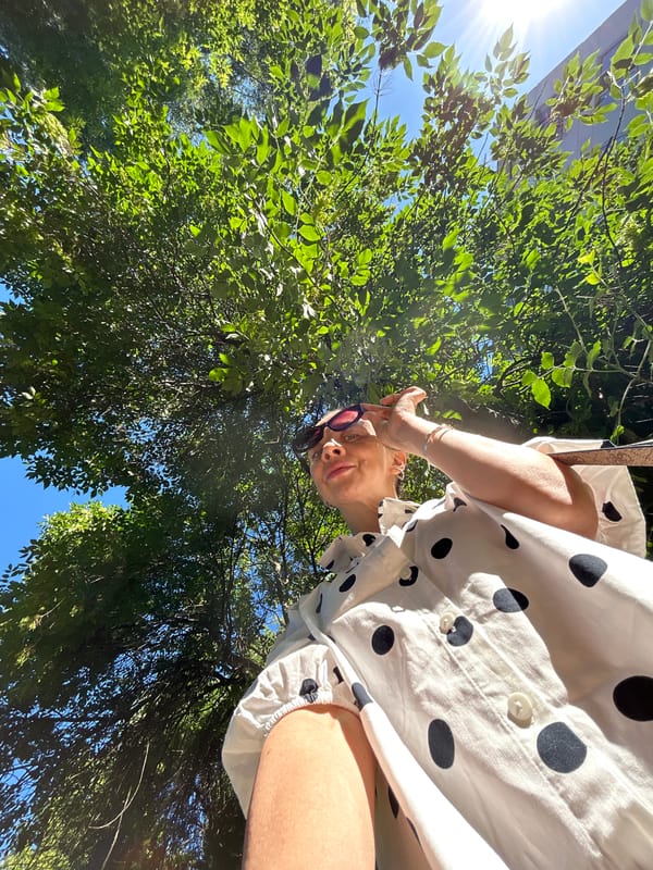 Afternoon in a Chaikovsky park, greenery and street life