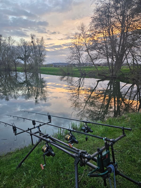 Evening fishing session captured in rural Gavisse, France