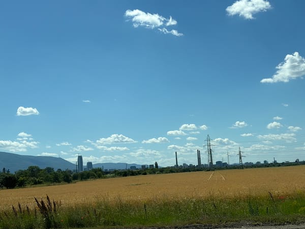 Highway drive through wheat fields on sunny June afternoon