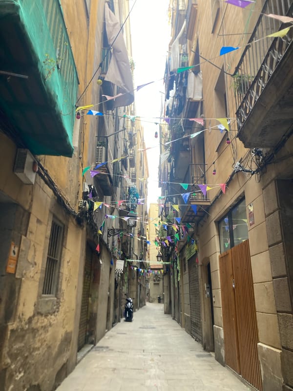 Street art saturates the Gothic Quarter's narrow lanes