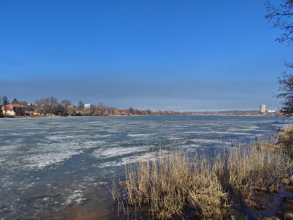 Late winter scenes documented across Saint Petersburg parks and streets