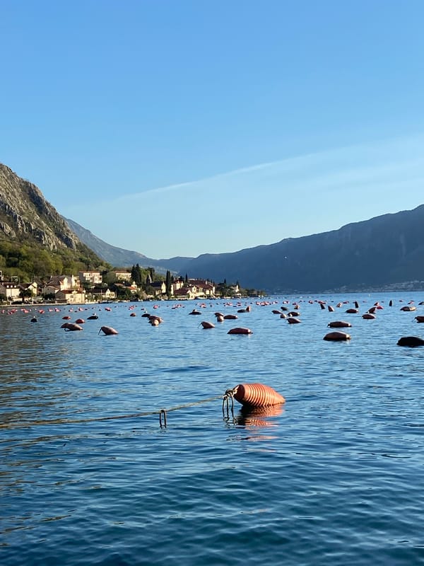 Sunny afternoon documented at Bay of Kotor, Montenegro waterfront