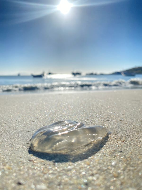 Evening beach scenes documented along Juan Griego coastline