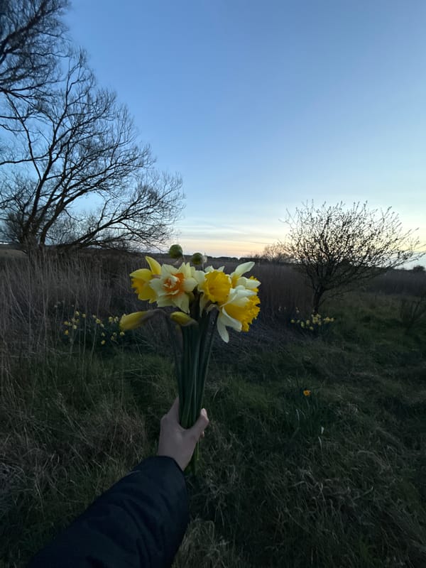 Spring flowers and coastal views captured in Great Yarmouth