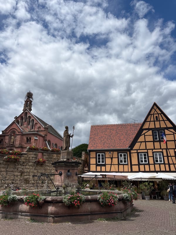 Daily life captured in historic Eguisheim, France
