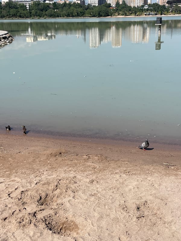 Almaty lakefront park on a busy summer morning