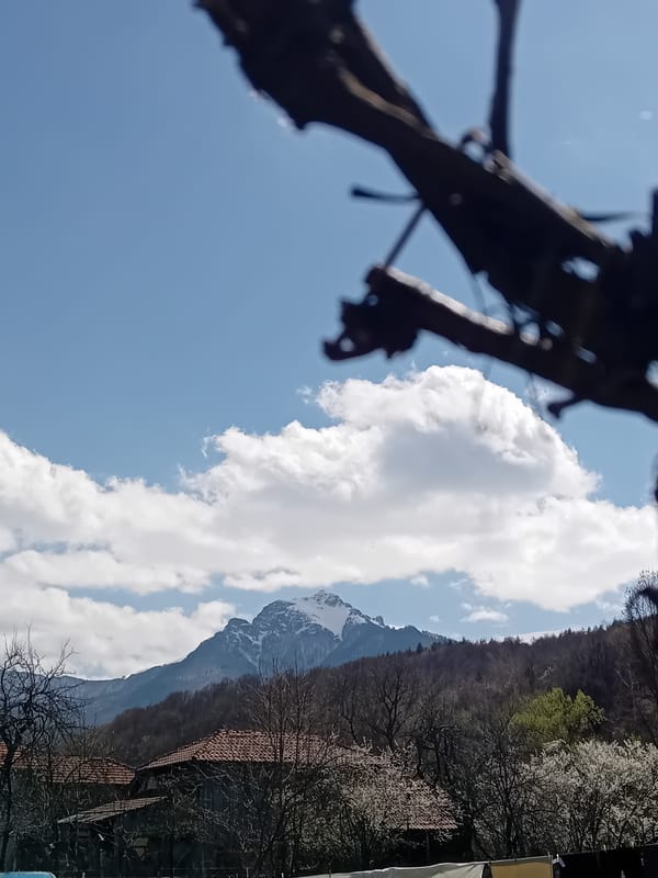 Spring walk documented through mountainous countryside with livestock and gardens