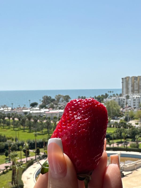 Person displays large strawberry with French manicure in Erdemli