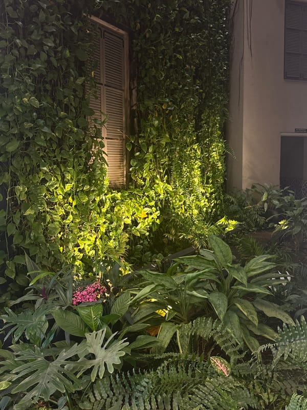 Vertical garden and floral display spotted in Tel-Aviv