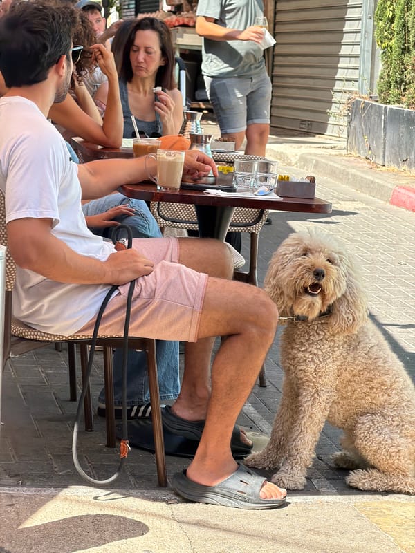 Morning cafe scene with diners and dog in Tel-Aviv
