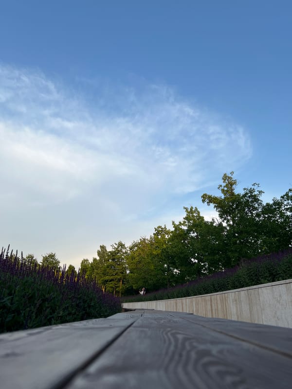 Afternoon leisure activities documented at Krasnodar park and skatepark