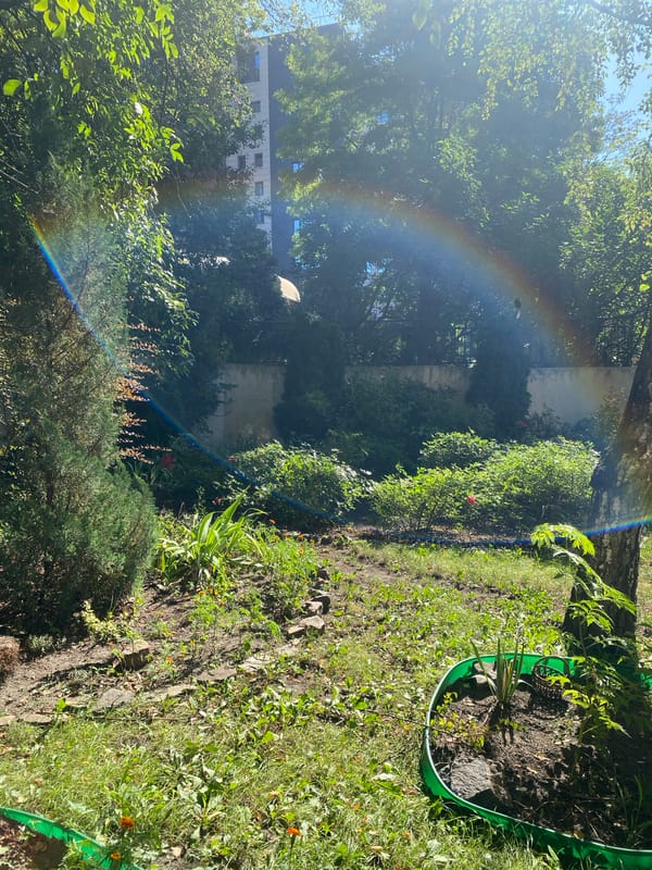Sunny morning city scenes with a backyard rainbow