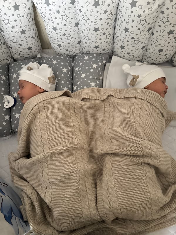 Sleeping twins and rose bouquet captured in quiet domestic moments