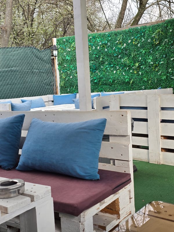 Burgas resident enjoys sushi lunch with Yorkshire Terriers, katana display