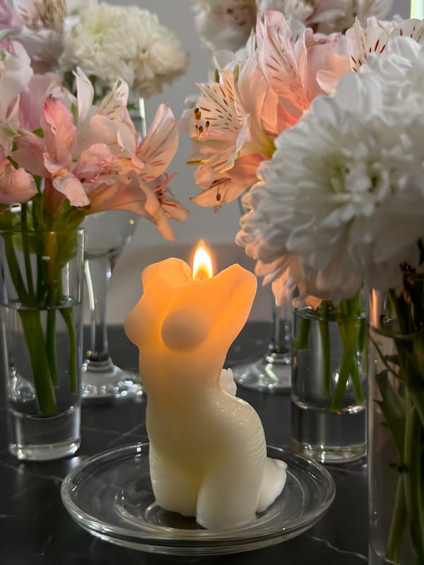 Artistic still-life arrangement documented in Almaty apartment or gallery
