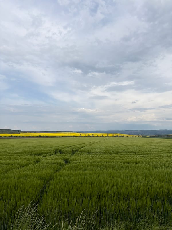 Spring agricultural landscape observed near Goran, Bulgaria