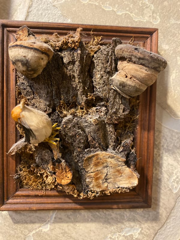 Handmade ornaments, a nature diorama, and an elephant souvenir plate