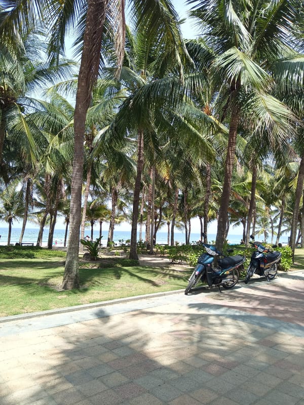 Da Nang beachfront on a sunny June morning