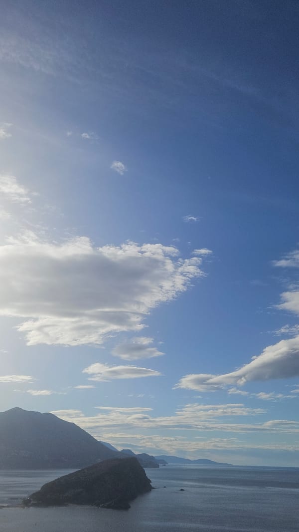 Morning moments captured across Budva: nature, flowers, selfie