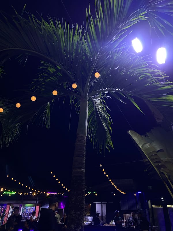 Nighttime scene documented in Tinaquillo with illuminated palm tree, parked SUV