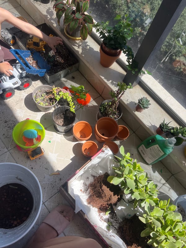 Child plays with toys and plants on Kiryat Bialik balcony