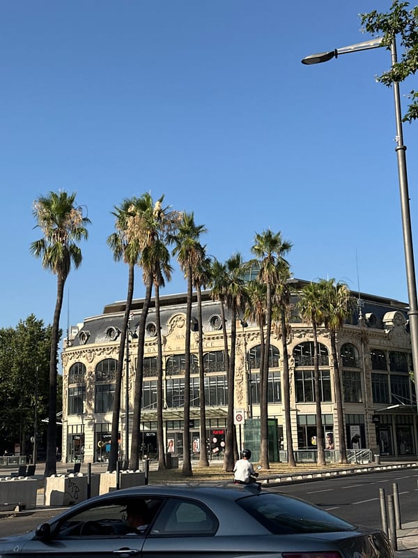 Perpignan's Banque de France boulevard on a sunny afternoon