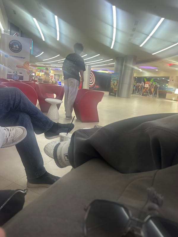 Person documents brief mall visit in Yerevan