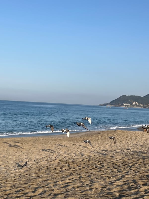 Early morning scenes captured in Alanya, Turkey