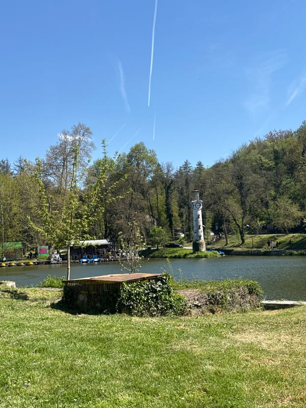 Witness documents murky pond conditions at Kaylaka Park, Pleven