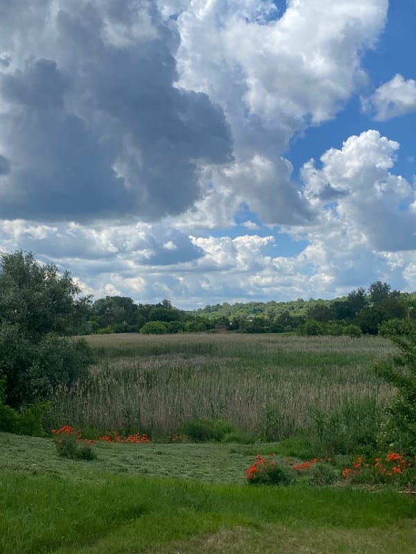 Village life in Ustyvytsia: poppies, storks, and rural summer scenes