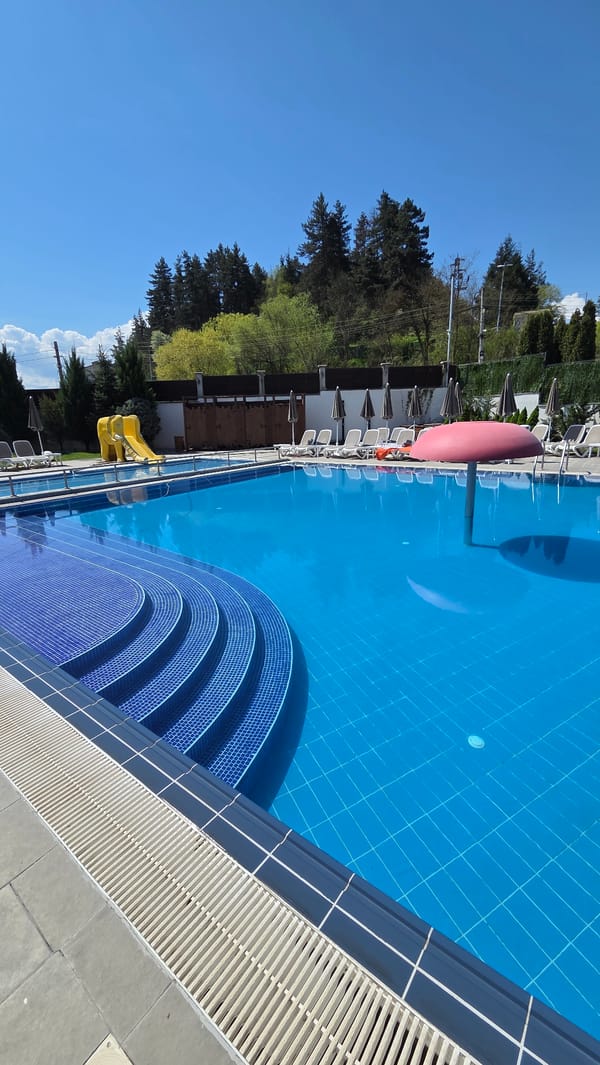 Backyard scenes documented: pool, patio, robotic mower, rock formations