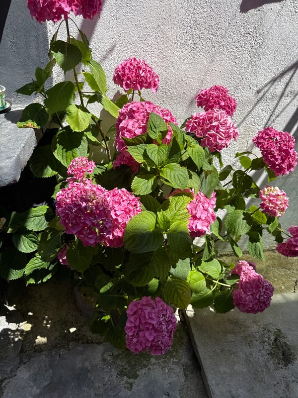 Getting ready, flowers, moody interiors, and a drive.