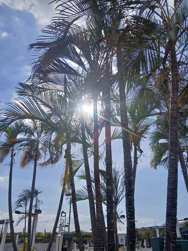 Shopping mall scenes documented in Ciudad Guayana Venezuela