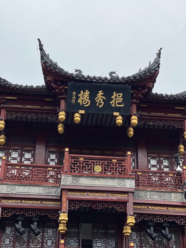 Tourist documents traditional and modern Shanghai landmarks over 78 minutes