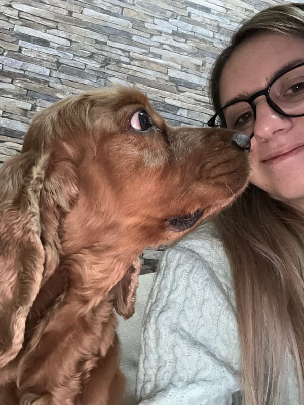 Woman shares tender moment with Cocker Spaniel in Sofia