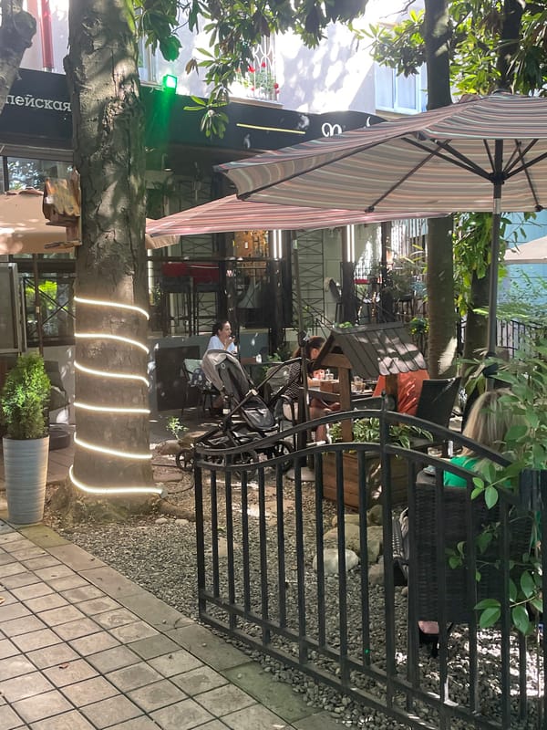 Sunny afternoon along a Sochi promenade: cafés, bikes, and flowers