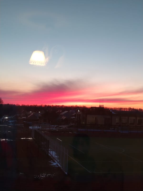 Woman documents daily moments through selfies in Noviy, Russia