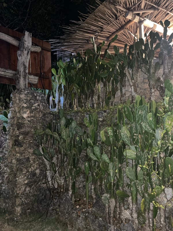 Nighttime documentation of traditional structures and vegetation in Nusa Penida