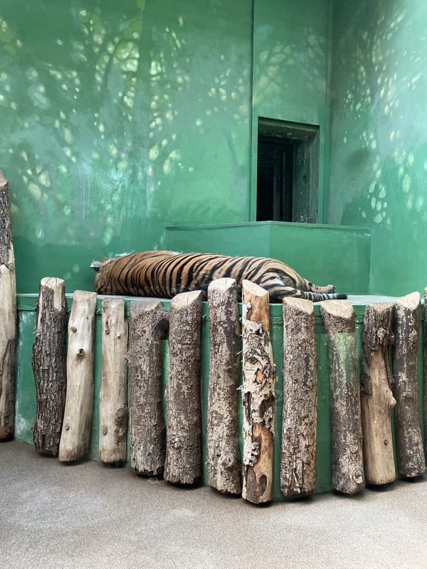 Prague Zoo animals documented across multiple exhibits