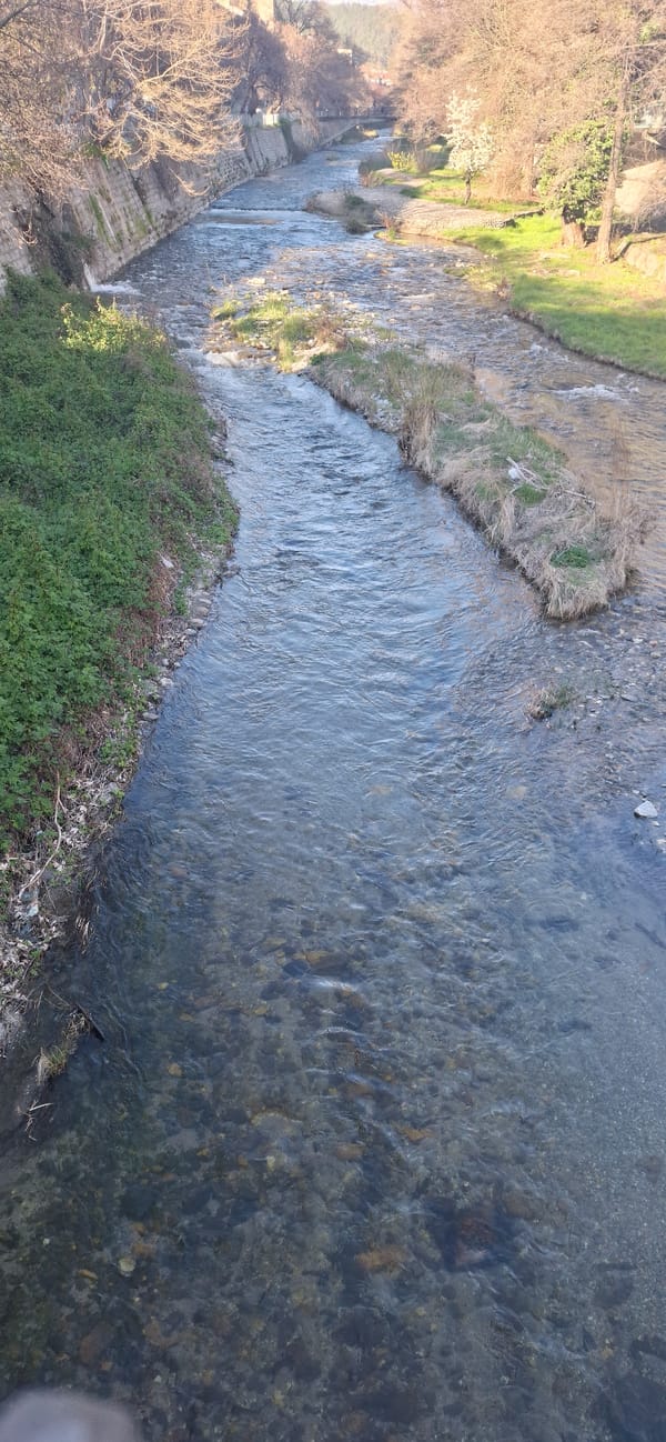 Clear water channel flows through Blagoevgrad amid spring vegetation