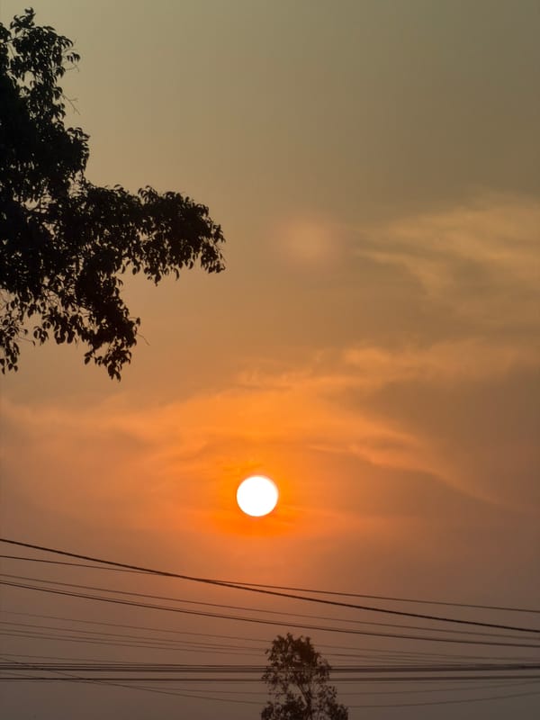 Sunset drive through rural Vietnam countryside captured by witness