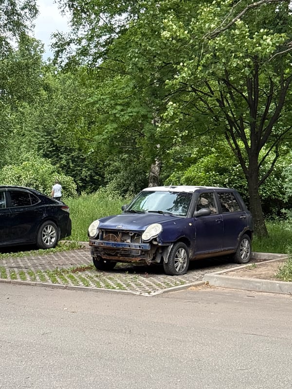 Morning snapshots capture everyday life across Saint Petersburg neighborhoods
