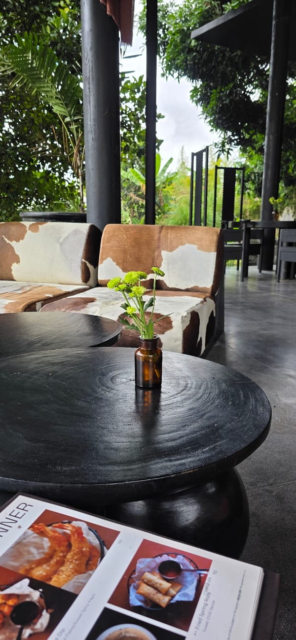Relaxed resort evening in Kintamani — decor, greenery, and a sleeping cat
