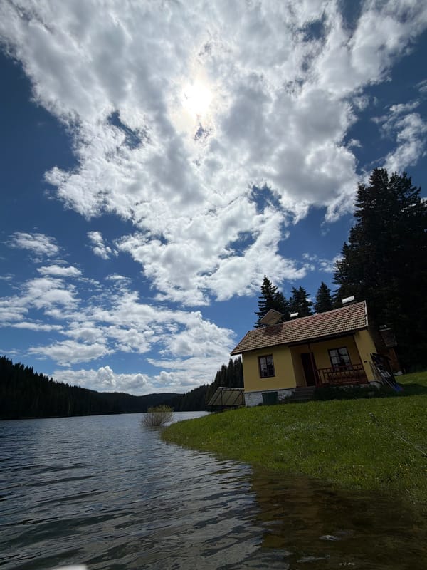 Lakeside community with yellow house and wooden amenities documented